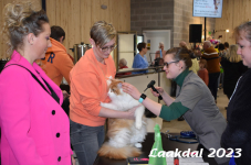 Laakdal 2023 092