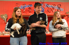 turnhout 2019-0437